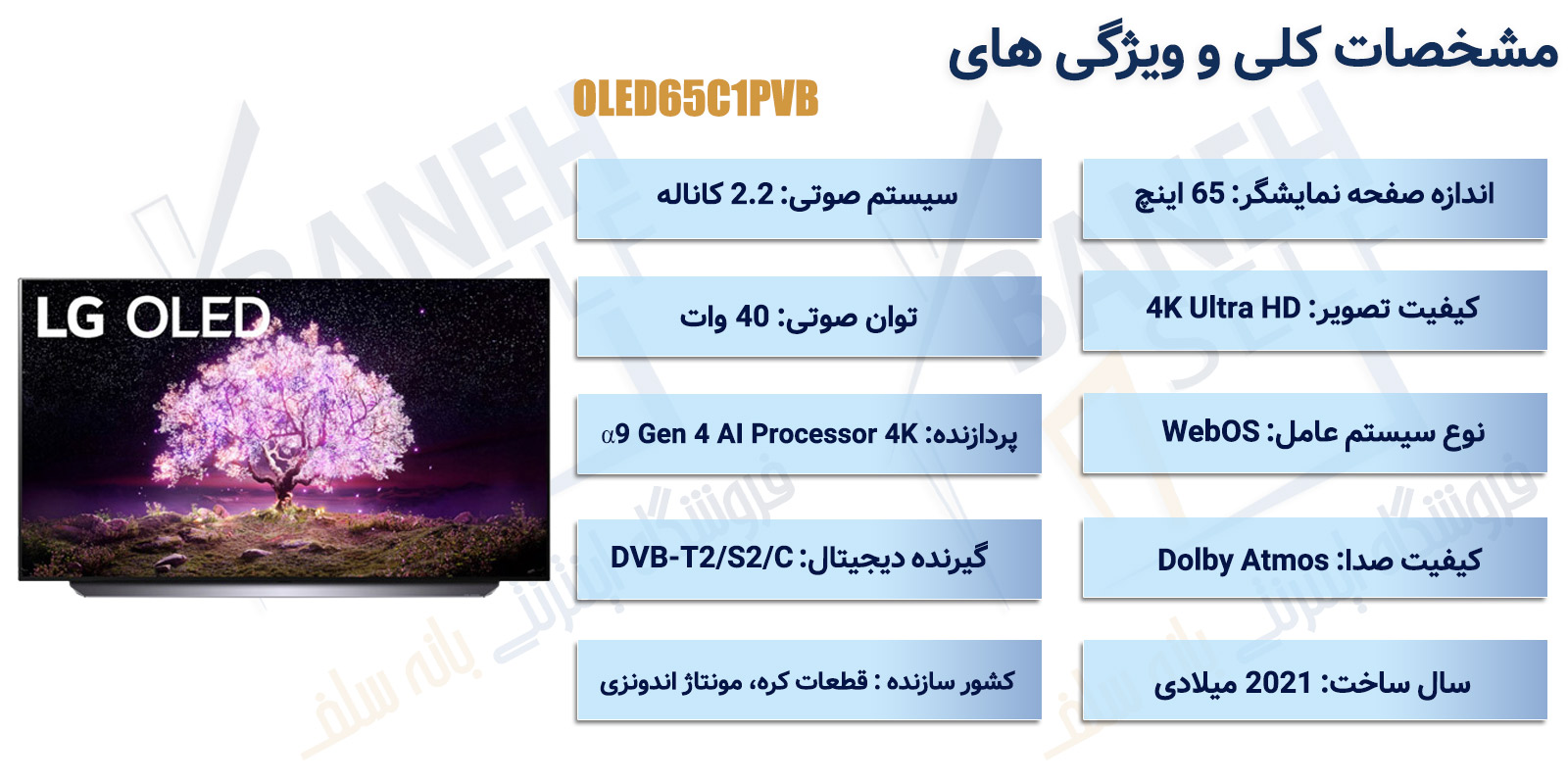 اینفوگرافیک-تلویزیون-هوشمند-4K-ال-جی-65-اینچ-مدل-OLED65C1PVB